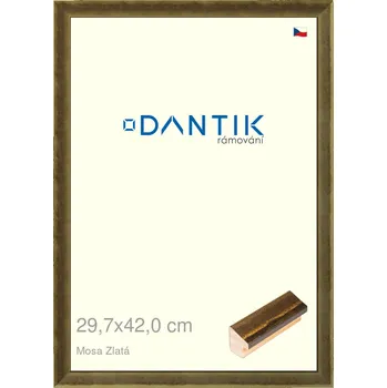Rám na obraz DANTIK rámeček 29,7x42 | Mosa zlatá (Plexi Čiré) (Vyrobeno s láskou u nás v DANTIKU)