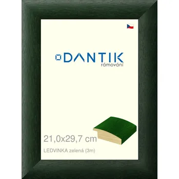Rám na obraz DANTIK rámeček 21x29,7 | LEDVINKA zelená (Sklo Čiré) (Vyrobeno s láskou u nás v DANTIKU)