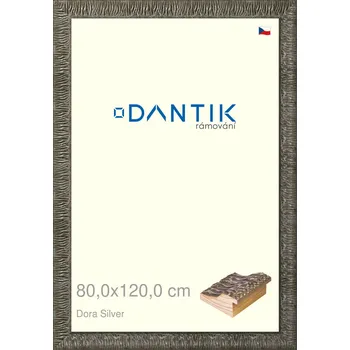 Rám na obraz DANTIK rámeček 80x120 | Dora Silver (Plexi Čiré) (Vyrobeno s láskou u nás v DANTIKU)