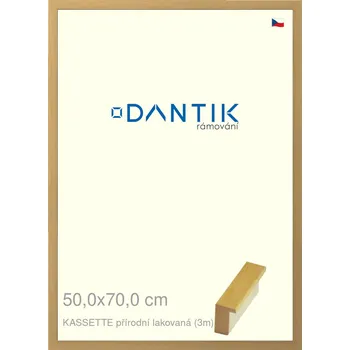 Rám na obraz DANTIK rámeček 50x70 | KASSETTE přírodní lakovaná (Plexi Čiré) (Vyrobeno s láskou u nás v DANTIKU)