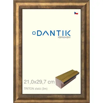 Rám na obraz DANTIK rámeček 21x29,7 | TRITON zlatá (Sklo Čiré) (Vyrobeno s láskou u nás v DANTIKU)