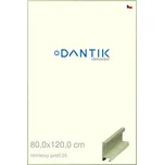 DANTIK rámeček 80x120 | ALU profil 6035 Dýha barevná zelená pastel (Plexi Čiré) (Vyrobeno s láskou u nás v DANTIKU)