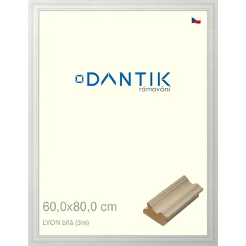 Rám na obraz DANTIK rámeček 60x80 | LYON Bílá (Plexi Čiré) (Vyrobeno s láskou u nás v DANTIKU)