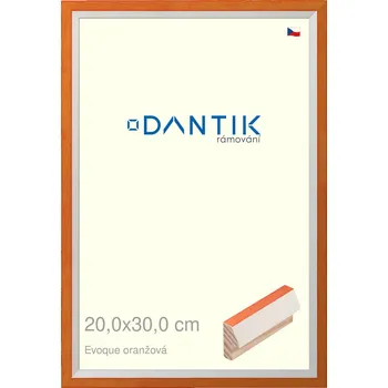 Rám na obraz DANTIK rámeček 20x30 | EVOQUE oranžová (Sklo Čiré) (Vyrobeno s láskou u nás v DANTIKU)