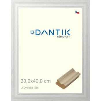 Rám na obraz DANTIK rámeček 30x40 | LYON Bílá (Plexi Čiré) (Vyrobeno s láskou u nás v DANTIKU)