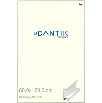 Rám na obraz DANTIK rámeček 80x120 | ALU profil 6035 Dýha bílá (Plexi Čiré) (Vyrobeno s láskou u nás v DANTIKU)