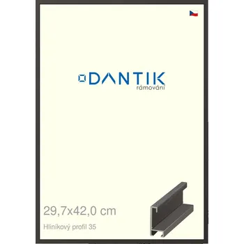 Rám na obraz DANTIK rámeček 29,7x42 | ALU profil 6035 Dýha černá (Plexi Čiré) (Vyrobeno s láskou u nás v DANTIKU)