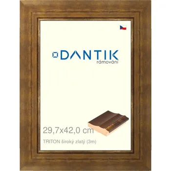 Rám na obraz DANTIK rámeček 29,7x42 | TRITON široký zlatý (Plexi Čiré) (Vyrobeno s láskou u nás v DANTIKU)