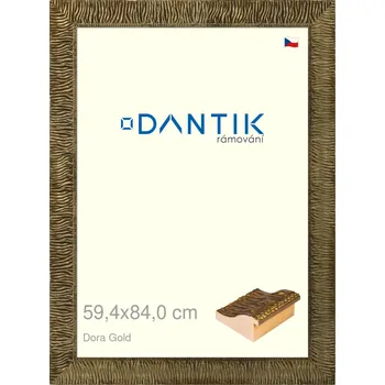 Rám na obraz DANTIK rámeček 59,4x84 | Dora Gold (Plexi Čiré) (Vyrobeno s láskou u nás v DANTIKU)