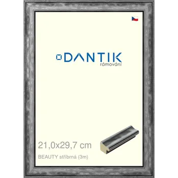 Rám na obraz DANTIK rámeček 21x29,7 | BEAUTY stříbrná (Sklo Čiré) (Vyrobeno s láskou u nás v DANTIKU)