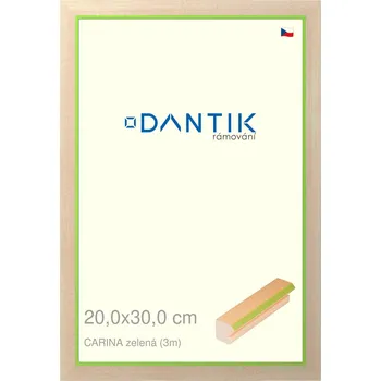 Rám na obraz DANTIK rámeček 20x30 | CARINAzelená (Sklo Čiré) (Vyrobeno s láskou u nás v DANTIKU)