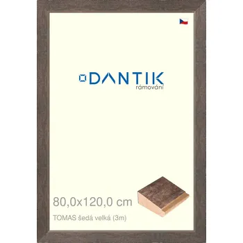 Rám na obraz DANTIK rámeček 80x120 | TOMAS šedá velká (Plexi Čiré) (Vyrobeno s láskou u nás v DANTIKU)