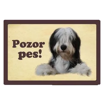 Plechová cedule Plechová psí cedule, Bearded kolie, Pozor pes