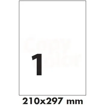 Speciální papír Předsekané papírové etikety: BEZ POTISKU - 210x297 mm