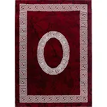 Ayyildiz Plus 8009 červený 80 x 150 cm