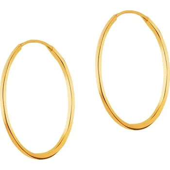 Náušnice Zlaté náušnice - kroužky, 14 mm - AP528-9555