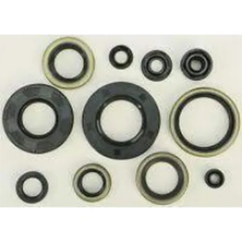 Těsnění motoru WINDEROSA (VERTEX) sada gufer motoru KTM SX 450 ATV 09-10, SX 505 ATV 09-10 (WINDEROSA (VERTEX) sada gufer motoru KTM SX 450 ATV 09-10, SX 505 ATV 09-10)