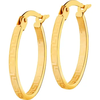 Náušnice Zlaté náušnice - kroužky - AP537-5732