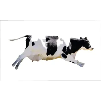 Obklad Obkladový panel do kuchyně mySpotti Profix létající krávy 100 x 60 cm PX-10060-1963-HB