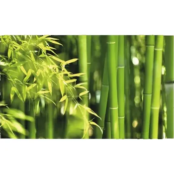 Obklad Obkladový panel do kuchyně mySpotti Profix bambus 100 x 60 cm PX-10060-15-HB