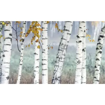 Obklad Obkladový panel do kuchyně mySpotti Profix břízový les100 x 60 cm PX-10060-14-HB