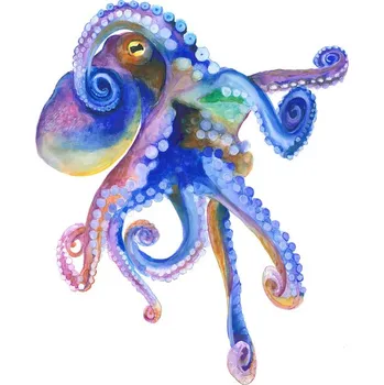 Plakát Plakát, Obraz - Blue Marine Octopuss, Isabelle Brent