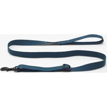 Vodítko pro psa SOLOGNAC Psí vodítko 100 modré L MODRÁ|ZELENÁ