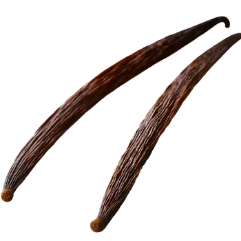 Koření Kotányi vanilkový lusk 2ks