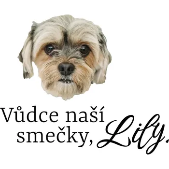 Party dekorace Tetovačky s mazlíčky č.5 (12 ks)