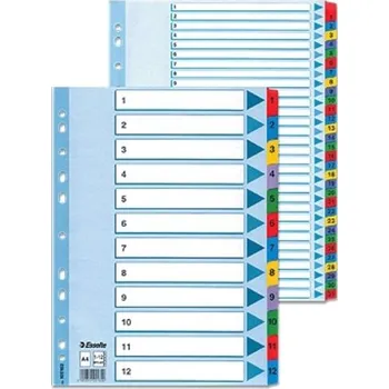 Obálka Rozřaďovač A4 1-20 pap-Esselte 100163