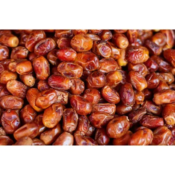 Sušené ovoce VIA NATURAE Datle bez jader 5000 g