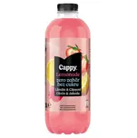 The Coca Cola Company Cappy Lemonade…