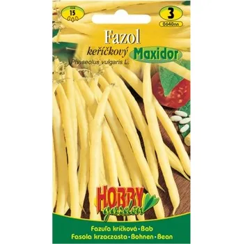 Semeno Fazol keříčkový MAXIDOR žlutý