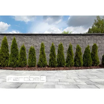 FEROBET Plotová tvárnice štípaná oboustranná B - 39*19*19cm - Antracit