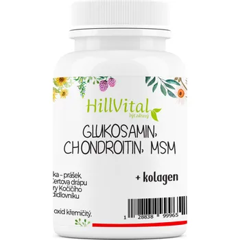 HillVital Glukosamin, Chondroitin, MSM 60 ks