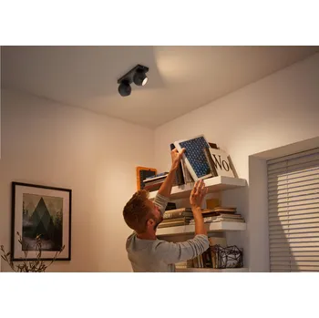 Žárovka BUCKRAM HUE BAR/TUBE BLACK 2X5W 230V