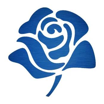 Samolepící dekorace SAMOLEPKA Růže 009 levá (65 - škrábaný kov modrý) NA AUTO, NÁLEPKA, FÓLIE, POLEP, TUNING, VLASTNÍ TEXT, TISK, AUTOSAMOLEPKY.cz, POLEPY, OBRÁZEK, LOGO, SAMOLEPKY