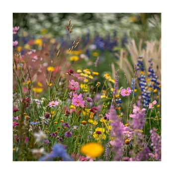 Semeno Planta Naturalis Zahradní loučka 40 g