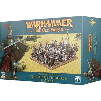 Desková hra Games Workshop Kingdom of Bretonnia: Knights of the Realm on Foot (Warhammer: The Old World)