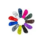 Peter Legwood Dolphin