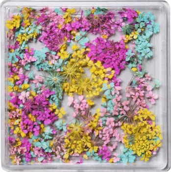 DENATO s.r.o. Sušené květy 13