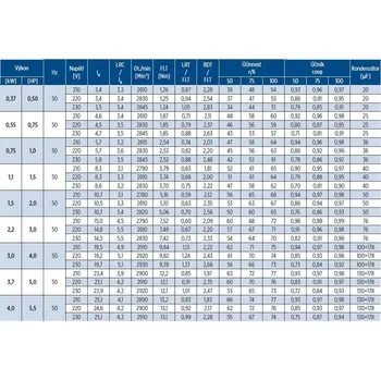 Coverco 4" motor NBS4 075M 0,55kW 50Hz 230V 25mF 1500N (verze 2024) ZB00072938