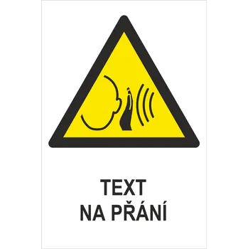 Náhlý silný zvuk ISO 7010 - Váš text samolepící PVC fólie 200 x 150 mm