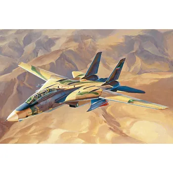 Plastikový model “Persian Cat” F-14A TomCat - IRIAF - Hobby Boss 81771