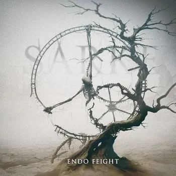 Hudba Sarke - Endo Feight (LP, SSR205LP)