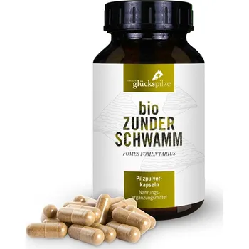 Přírodní produkt BIO Troudnatec kopytovitý (Fomes fomentarius) 120ks - rakouská kvalita | Houbičky.eu