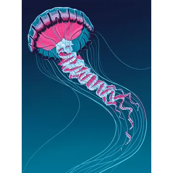 Plakát Plakát, Obraz - Lions Mane Jellyfish, Mark Harrison