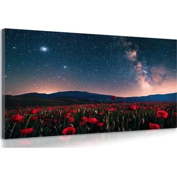 Obraz Dovido Obraz louka divokých máků pod hvězdami
