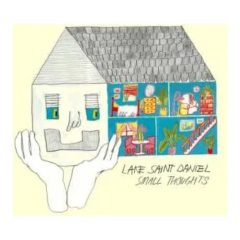 Zahraniční hudba LP Lake Saint Daniel: Small Thoughts CLR 2024 Coloured Coke Bottle Clear Vinyl