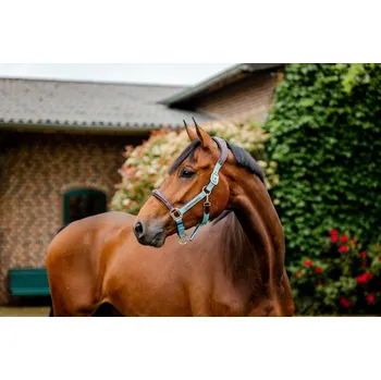 HORSEWARE Ohlávka Signature Competition Horseware, brown/blue haze FULL